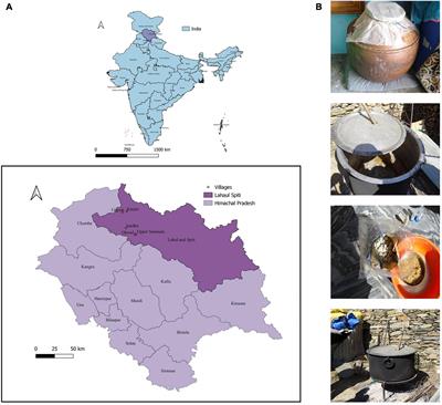 Comprehensive Substrate-Based Exploration of Probiotics From Undistilled Traditional Fermented Alcoholic Beverage ‘Lugri’